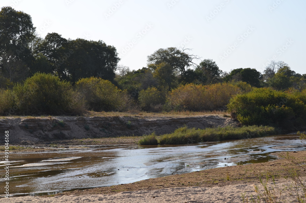 Obraz premium Parque Kruger South africa