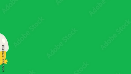 video animation of a falling egg from which a chicken jumps out and runs away, seamless loop on a green chroma key background. chicken coop escape