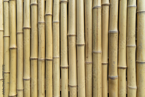 fence made of bamboo sticks © xiaoliangge