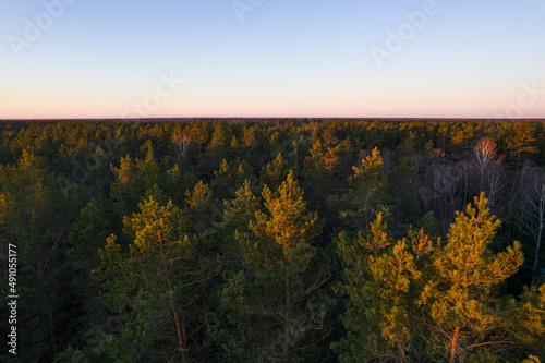 Drone photo of forests and groves in golden time