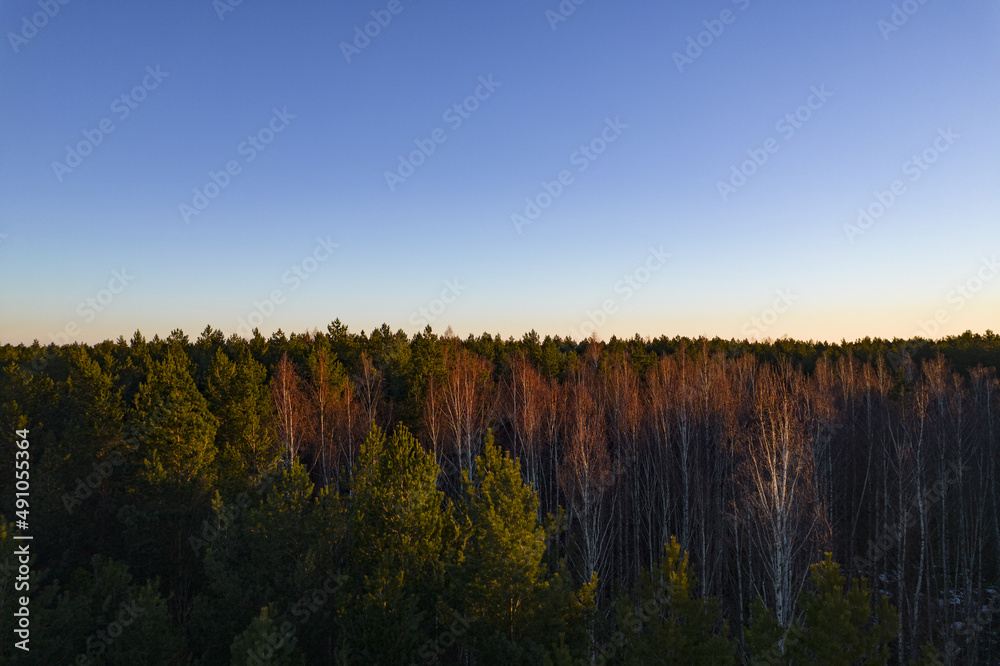 Fototapeta premium Drone photo of forests and groves in golden time