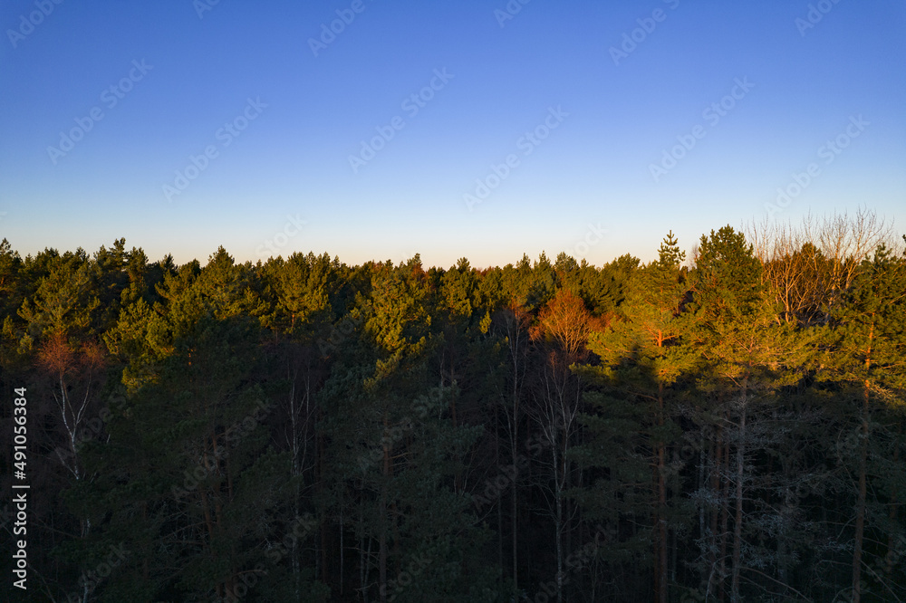 Fototapeta premium Drone photo of forests and groves in golden time