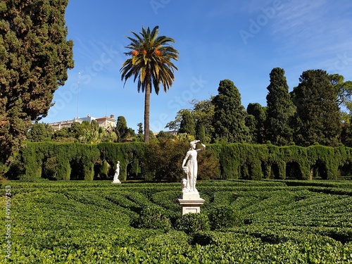 Jardín de Monforte, garden, Valencia Spain photo