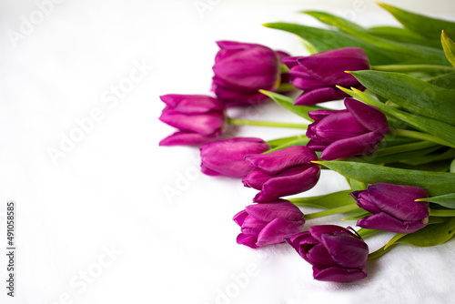 spring bouquet of flowers on a white background, purple tulips, women's holiday
