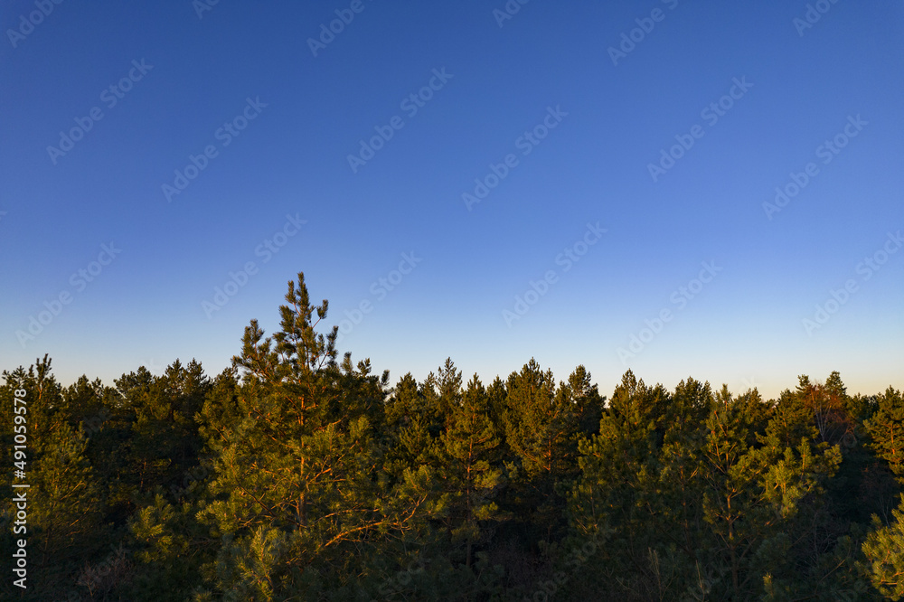 Drone photo of forests and groves in golden time Drone photo of forests and groves in golden time