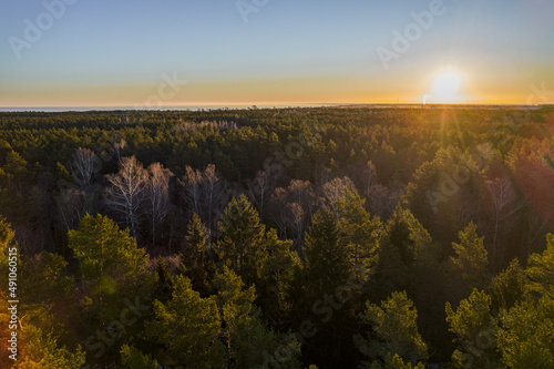 Drone photo of forests and groves in golden time