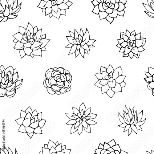Seamless vector pattern of succulents. Background for greeting card, website, printing on fabric, gift wrap, postcard and wallpapers.