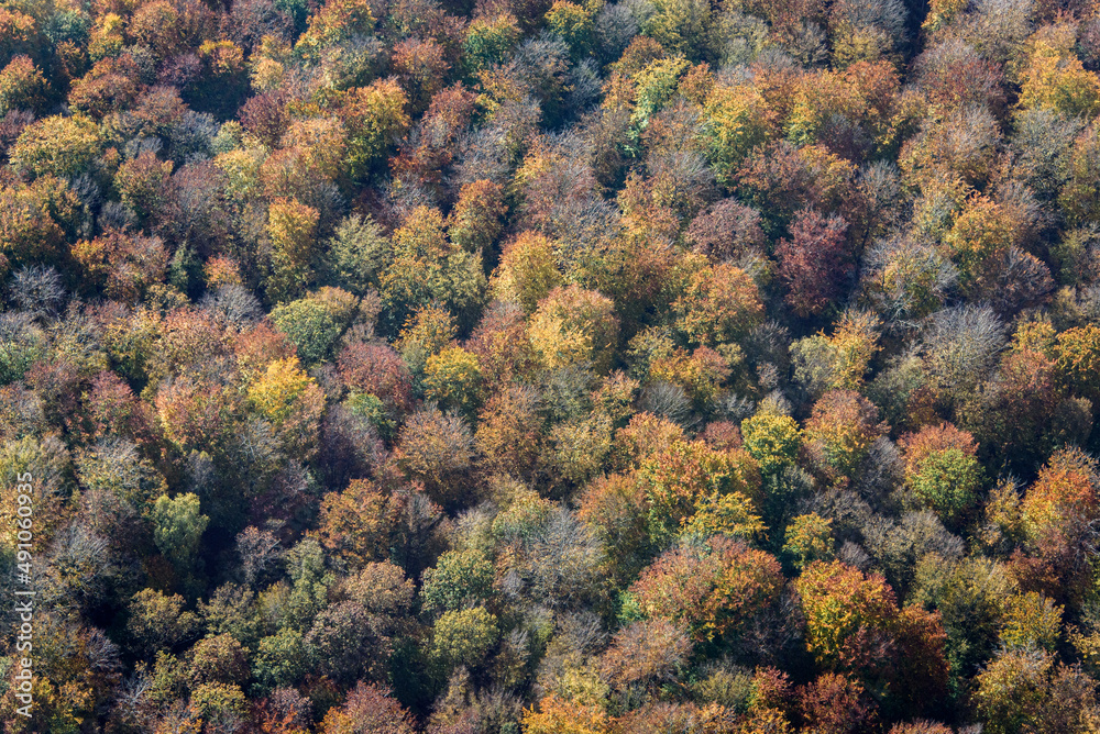 vue aérienne de la forêt en automne à Fleury dans l'Oise en France