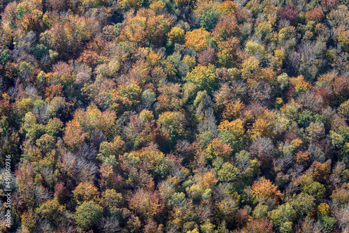 vue aérienne de la forêt en automne à  photo