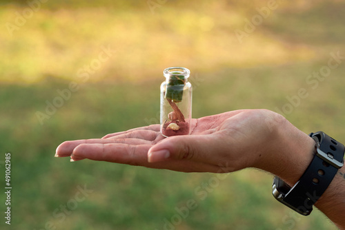 Witchy woman shows jars with herbs for witchcraft ritual.