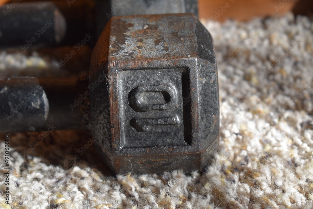 Ten Pound Dumbbell Weight Ten Pound Dumbbell Weight