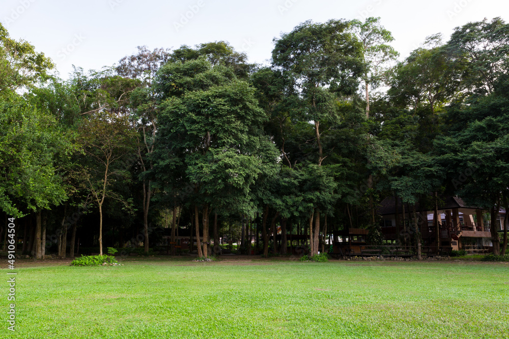Obraz premium Camping zone along with site the lake at Namtok Samlan National Park in Saraburi Thailand 