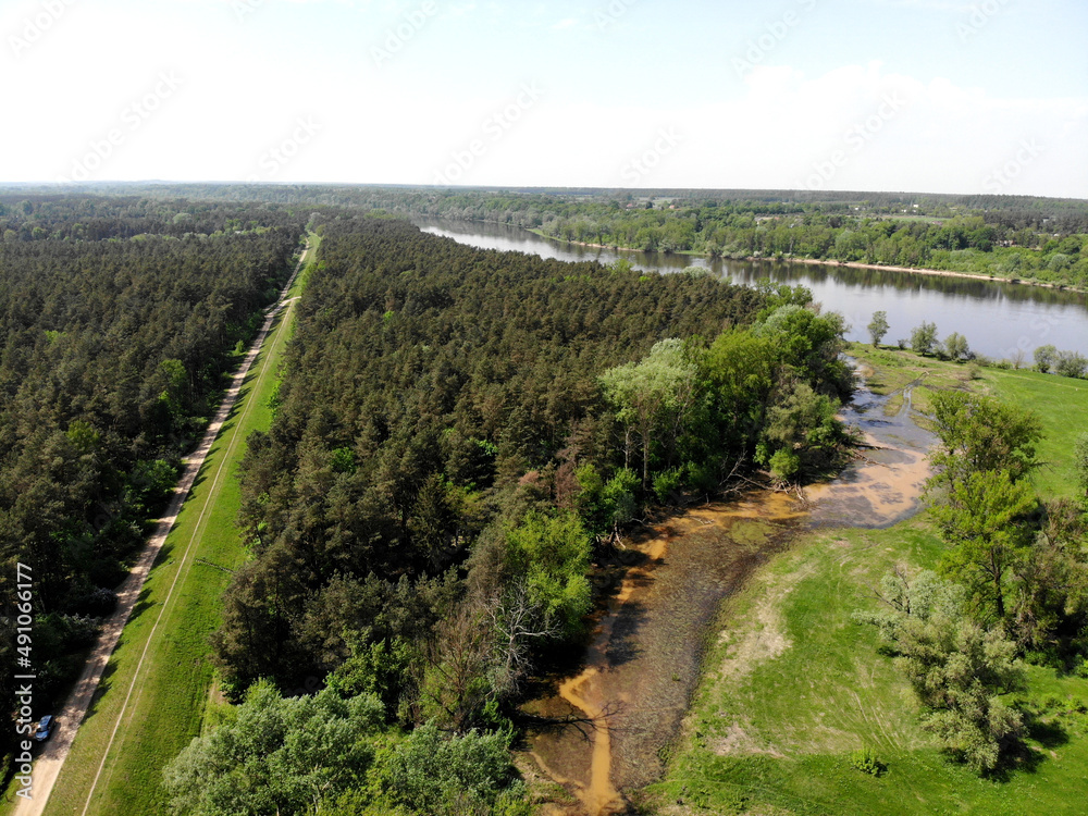 Las nad Narwią
