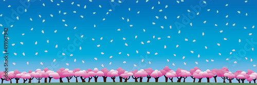 春の桜並木と舞う花びら 6C-1B