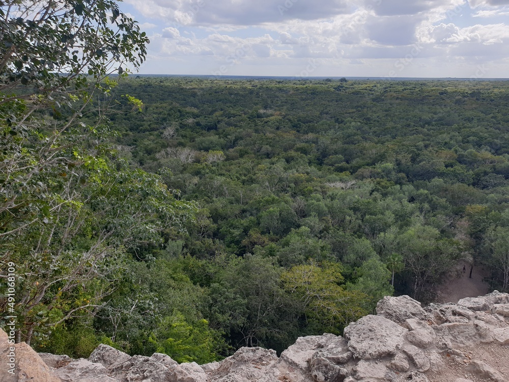 Jungle view Coba Mexico Yucatán Jungle view Coba Mexico Yucatán