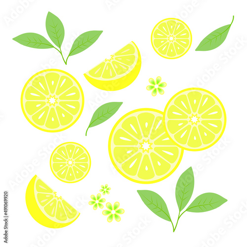 lemon slices pattern isolated on white background 