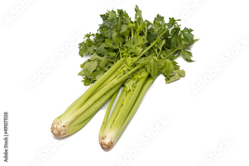 A bunch of celery. Isolated on white background.