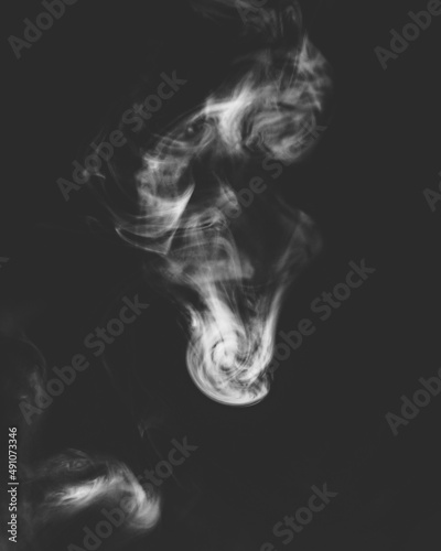 Fototapeta Naklejka Na Ścianę i Meble -  The image of a monster with smoke scary face