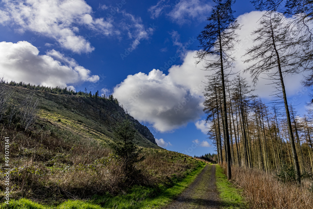 Binevenagh Area of Outstanding Natural Beauty, Limavady, Causeway Coast and Glens, County Londonderry, Northern Ireland.