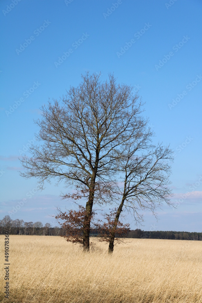 Wanderung auf dem Nordpfad Wanderung auf dem Nordpfad