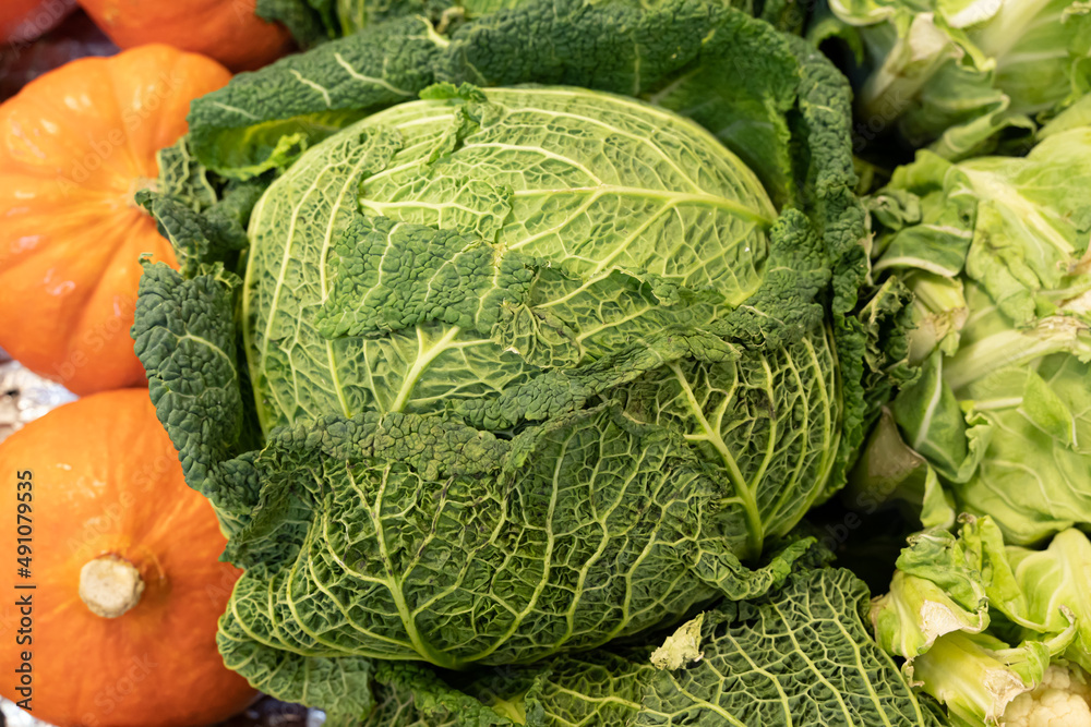 Fototapeta premium Gennevilliers, France - 01 21 2022: Primeur fruits and vegetables. Detail of green cabbage and pumpkins at a greengrocer