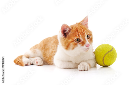 Cat with a tennis ball. © voren1