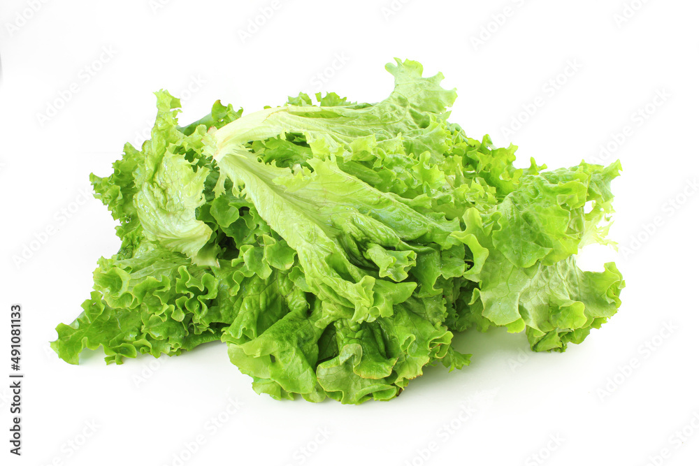 Pile of sliced green lettuce leaves isolated on white background Pile of sliced green lettuce leaves isolated on white background