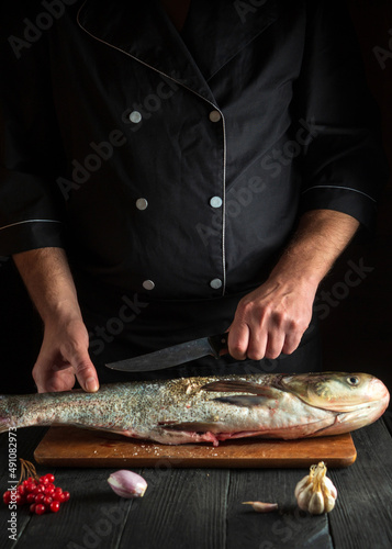 The chef prepares silver carp in the restaurant kitchen. Preparation for cutting fish with a knife. European cuisine photo