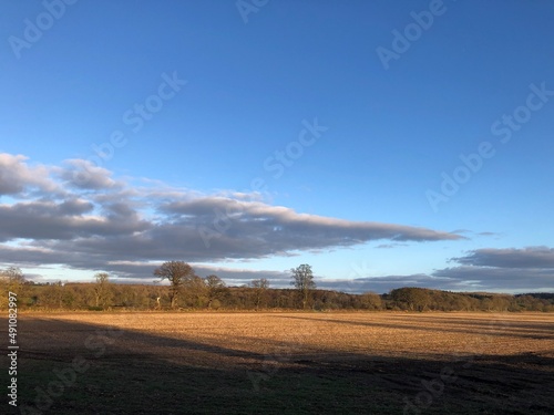A cereal field with the remaining stubble in March  North Yorkshire  England  United Kingdom