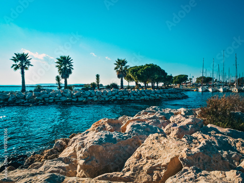 The entrance to the port by Albert Samson with palm trees