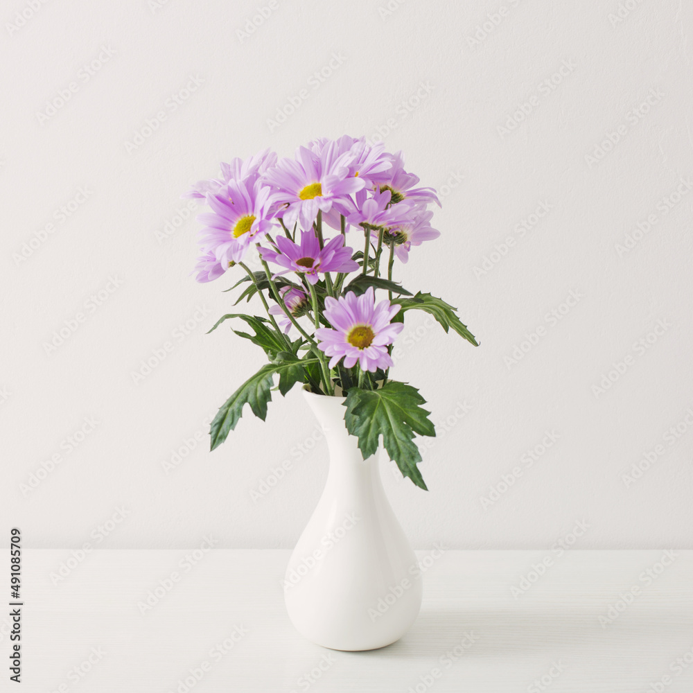 chrysanthemums flowers in ceramic vase on white background chrysanthemums flowers in ceramic vase on white background
