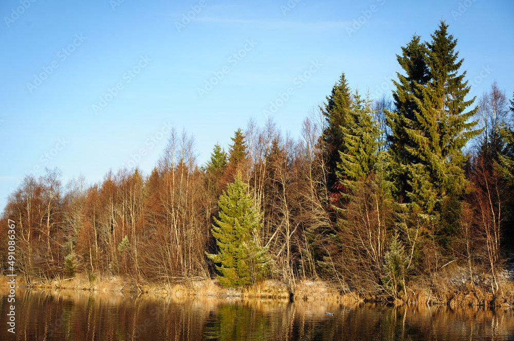 autumn forest in the morning autumn forest in the morning