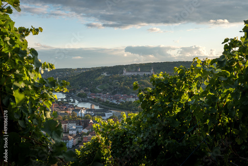 View from the hill near castle Steinburg with vineyard in the foreground to the the streets from Würzburg with the Marienberg Fortress in the background.