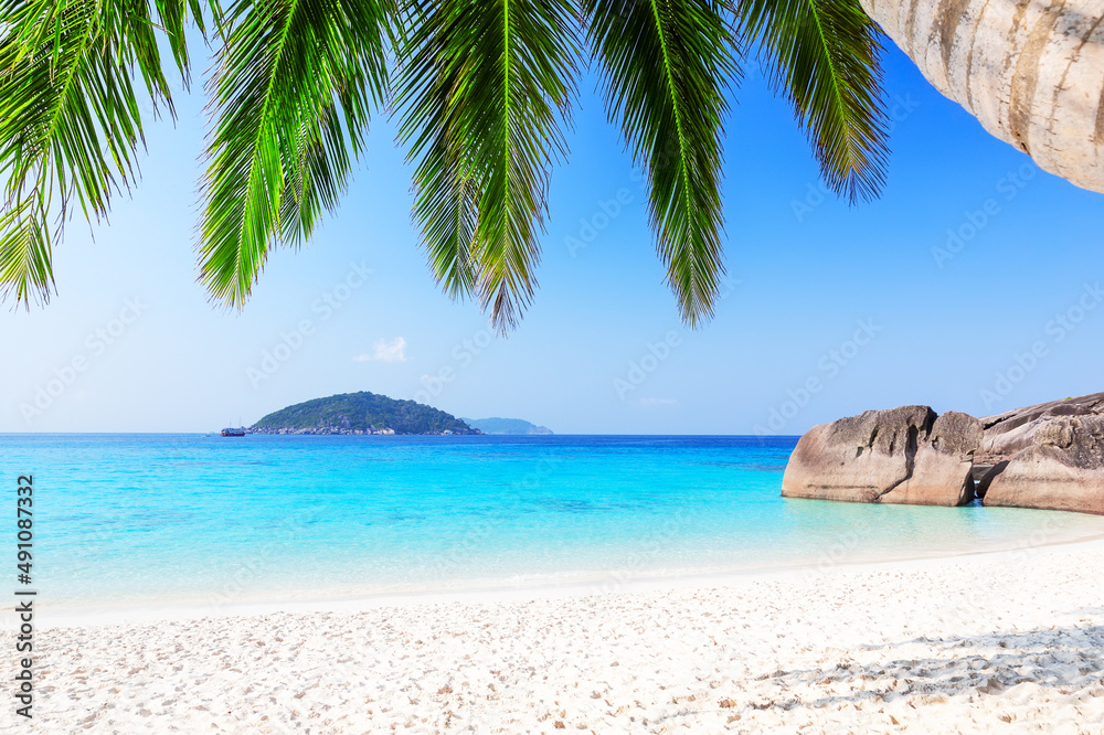 Beautiful beach and coconut palm tree against blue sky in Similan islands, Thailand.