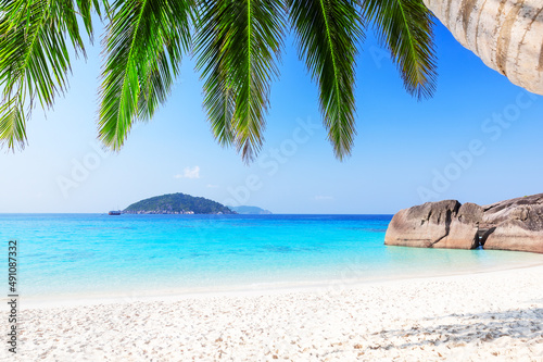 Beautiful beach and coconut palm tree against blue sky in Similan islands, Thailand.