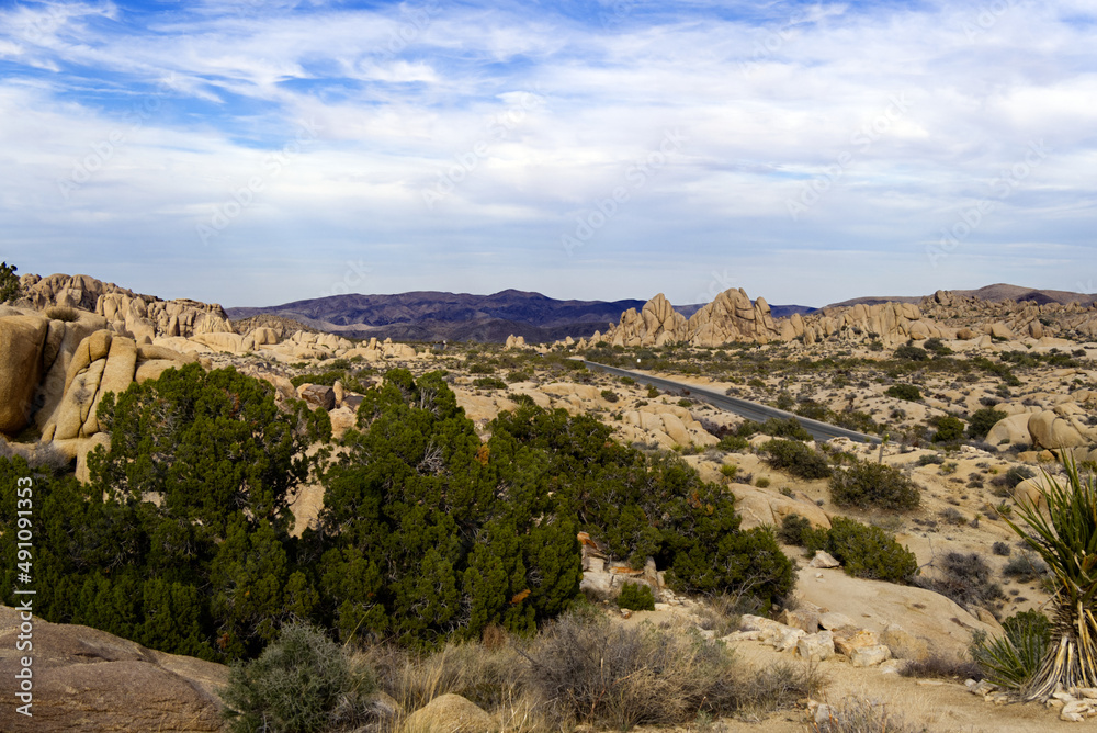 Main Road through Joshua Tree National Park