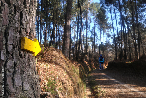 Pessoa a fazer caminhada num trilho de montanha com indicações - seta amarela, trilho no meio de um bosque, caminhos de Santiago de Compostela photo
