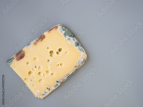 Expired moldy hard cheese purchased at the supermarket. Wastage of Lycopersicon. Incorrect long-term storage. Food waste in supermarkets. Rotten meal on the grey background. Copy space.