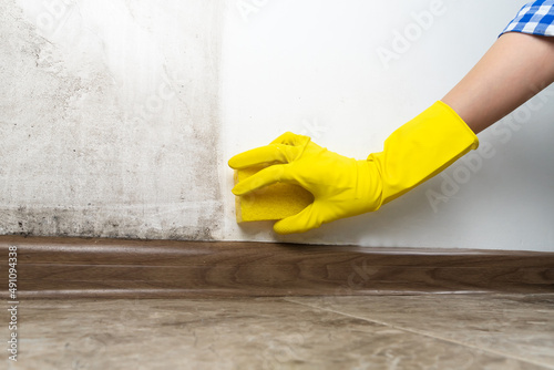 Close-up of a woman's hand in yellow rubber gloves cleans the wall from black mold with a special antifungal agent and sponge.Result is before and after, one part of the wall is clean, other is dirty photo