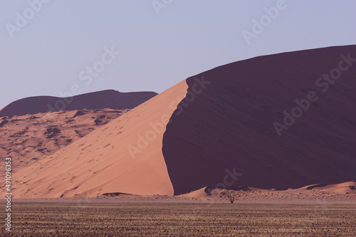 Fototapeta Naklejka Na Ścianę i Meble -  sand dunes in the desert