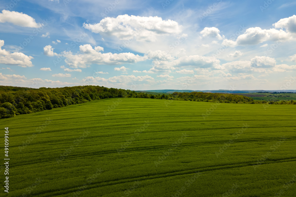 Aerial landscape view of green cultivated agricultural fields with growing crops on bright summer day