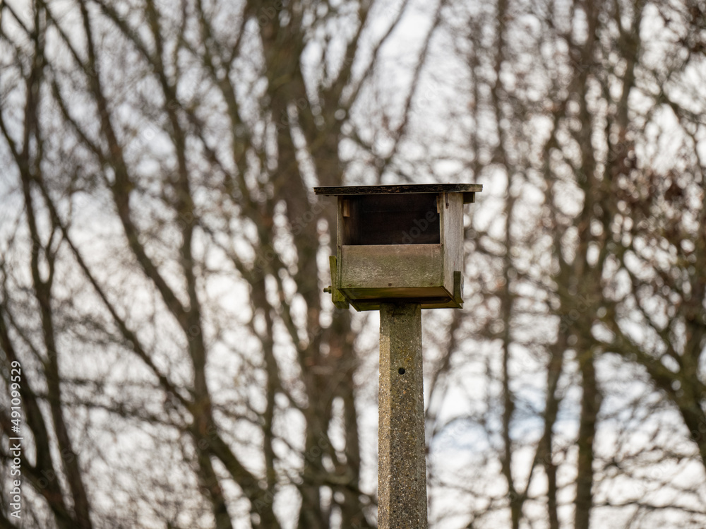 very large nesting box fitted atop an old concrete lamp post suitable for owls or Kestrels (Falco tinnunculus) very large nesting box fitted atop an old concrete lamp post suitable for owls or Kestrels (Falco tinnunculus)