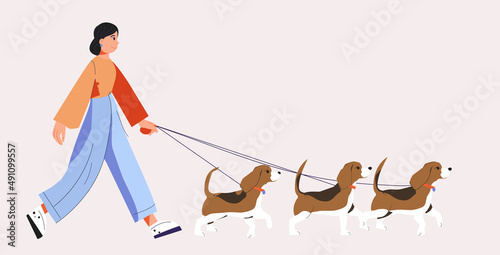 The girl walk with a dogs. Beagles. The owner walks three dogs. Vector illustration