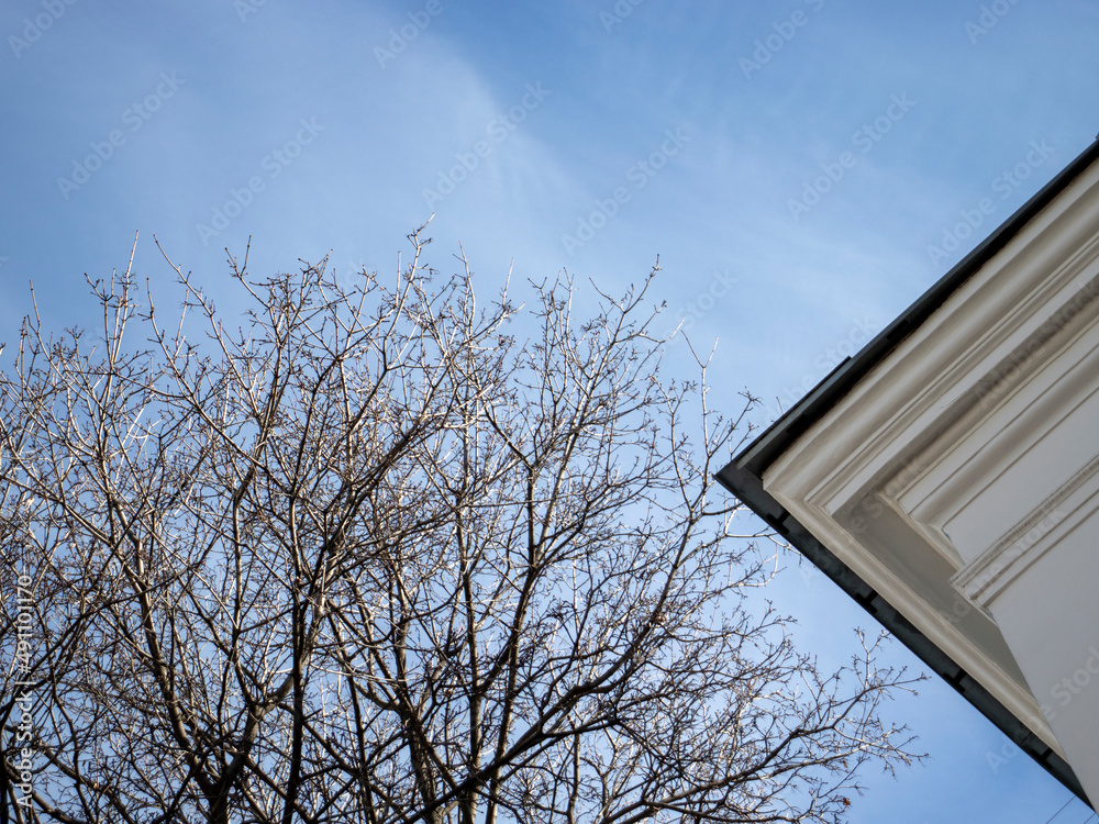 Bottom view of the corner of the wall and roof of the building. The corner of the roof of the house against the blue sky and a tree branch without leaves. Fragment of the wall of the house Bottom view of the corner of the wall and roof of the building. The corner of the roof of the house against the blue sky and a tree branch without leaves. Fragment of the wall of the house
