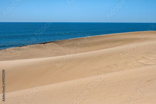 Namibia, the Namib desert, landscape of yellow dunes falling into the sea 