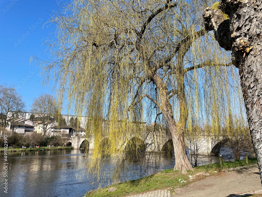 Promenade sous un soleil d' hiver