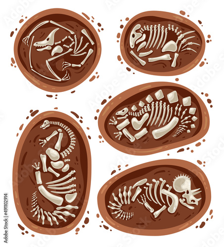 Dinosaur fossils bones skeleton graphic design element isolated set illustration
