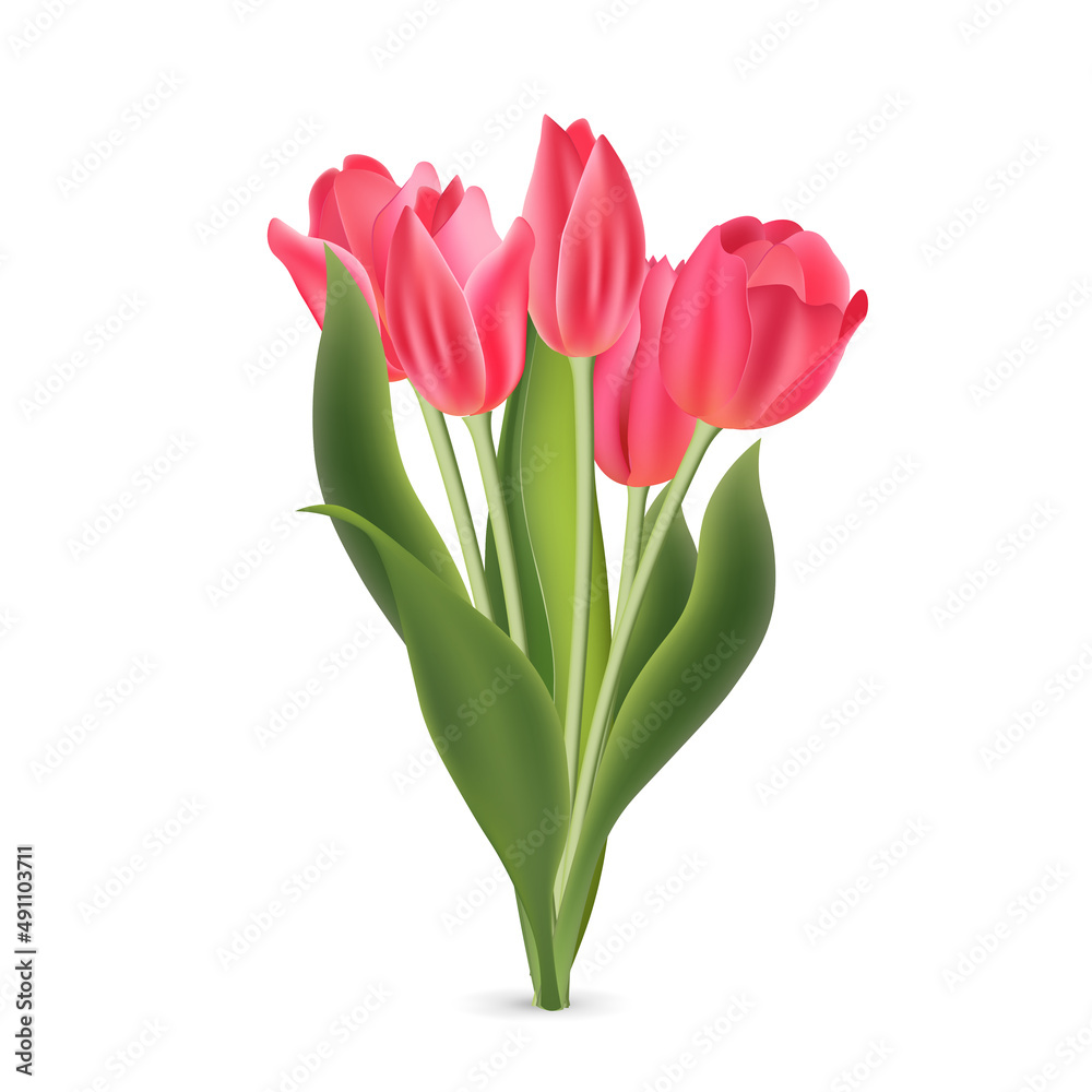 Realistic pink red tulips with green leaves isolated on white background Realistic pink red tulips with green leaves isolated on white background