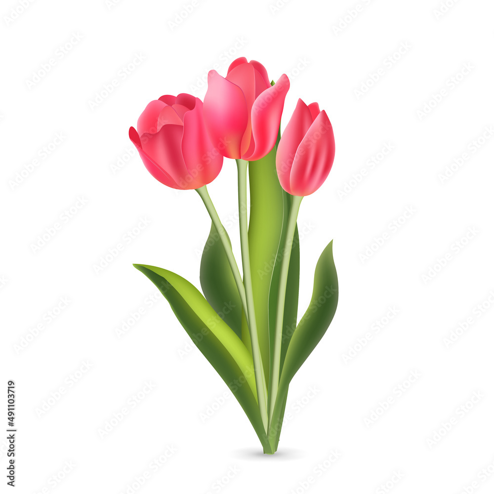 Realistic pink red tulips with green leaves isolated on white background