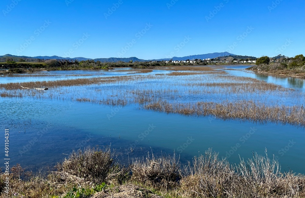 Marshy wetlands of San Francisco Bay